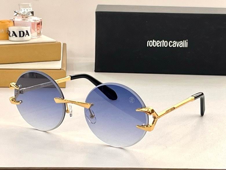 Roberto Cavalli Glasses (20)